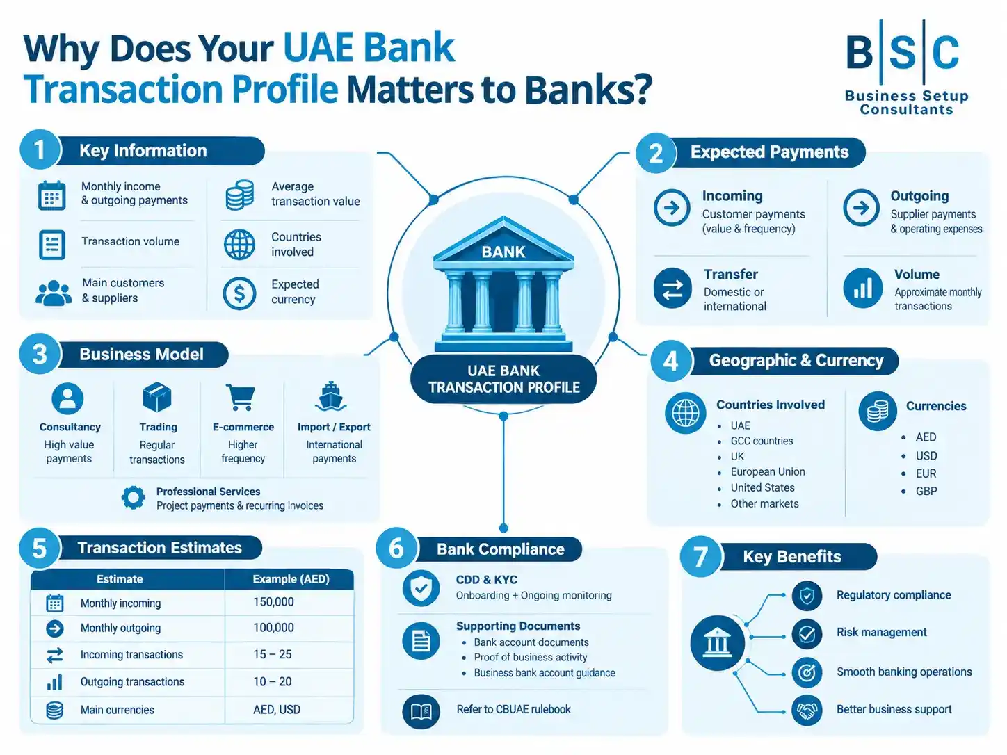 Infographic explaining why a UAE bank transaction profile matters, detailing key compliance steps, business models, expected payments, and benefits.